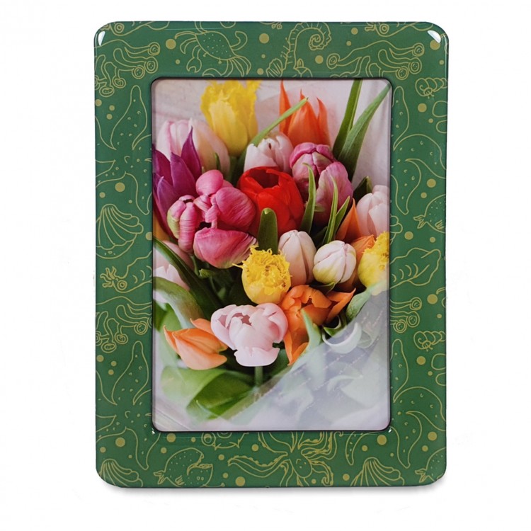 Rama foto magnetica 10x15 cm, include 5 foi foto kodak Glossy