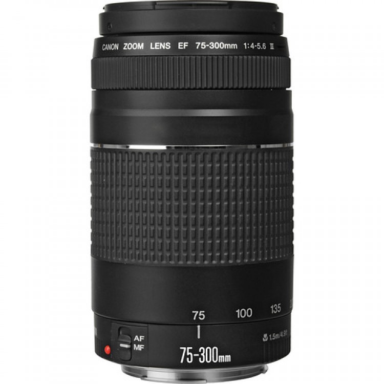 Obiectiv Canon EF 75-300 mm, F/4.0-5.6 III