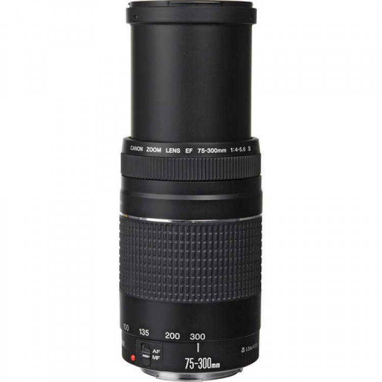 Obiectiv Canon EF 75-300 mm, F/4.0-5.6 III