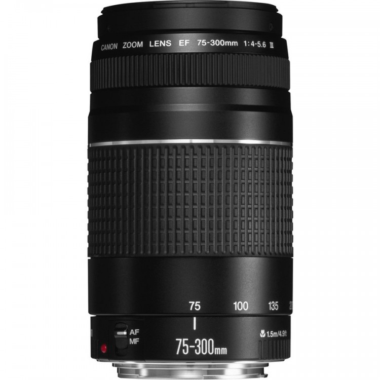 Obiectiv Canon EF 75-300 mm, F/4.0-5.6 III