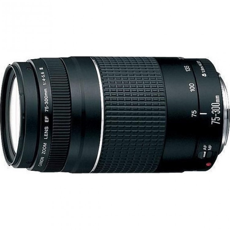 Obiectiv Canon EF 75-300 mm, F/4.0-5.6 III
